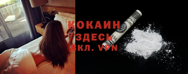прущая мука Арсеньев