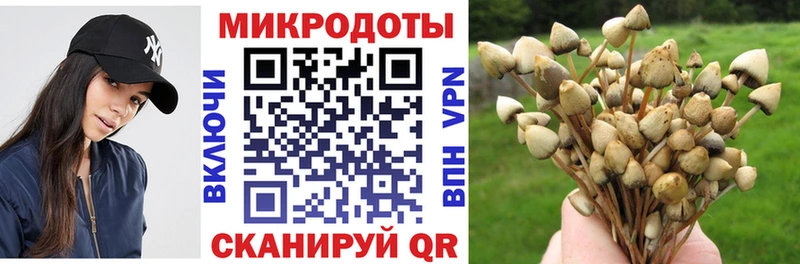 Галлюциногенные грибы прущие грибы  где купить   Завитинск 