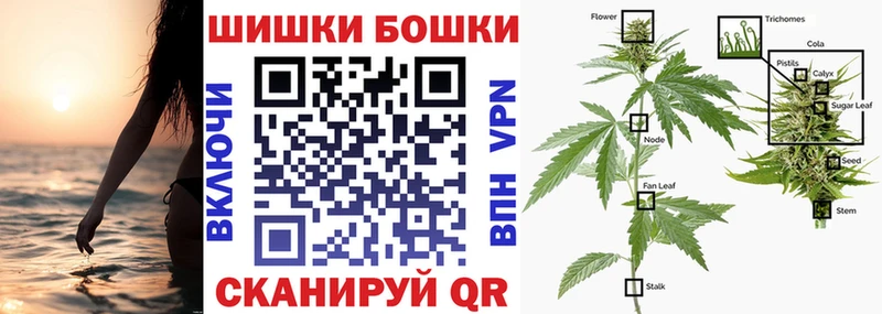 Конопля сатива Завитинск